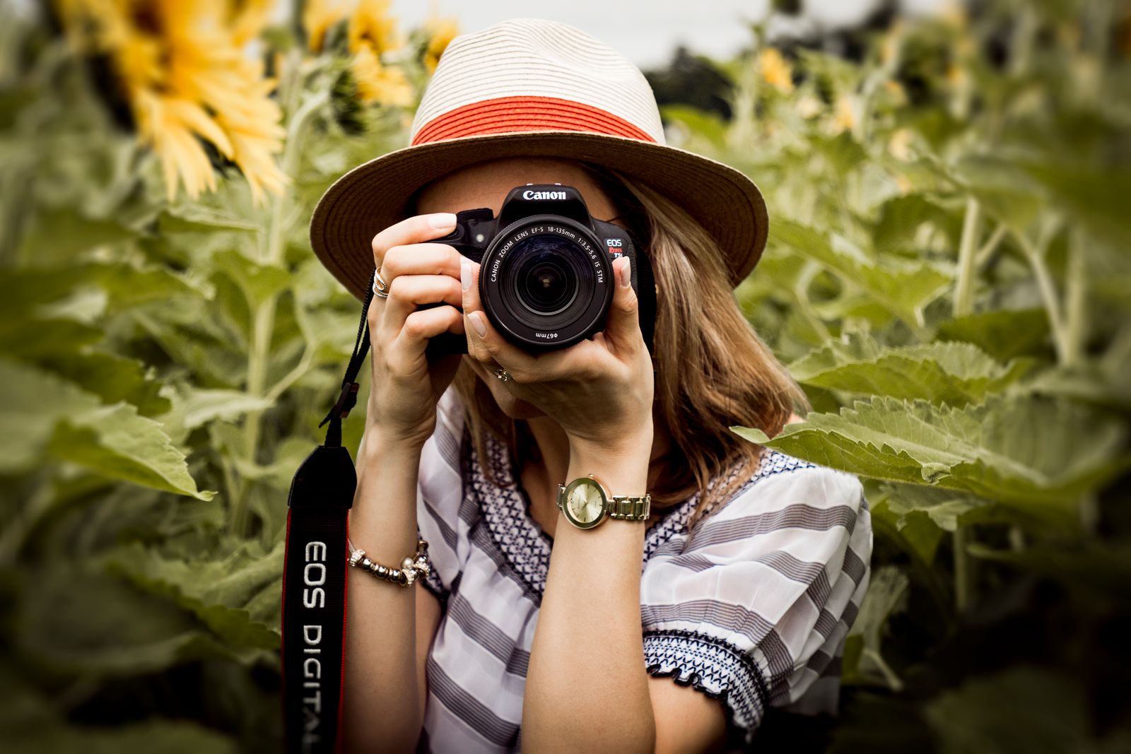 Photographer holding a Canon camera among sunflowers